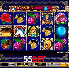 Security Systems 55bet